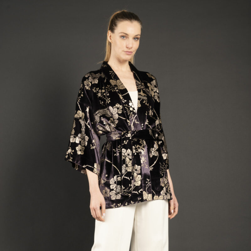 Fortuny Isabel | Printed velvet Kimono Coat