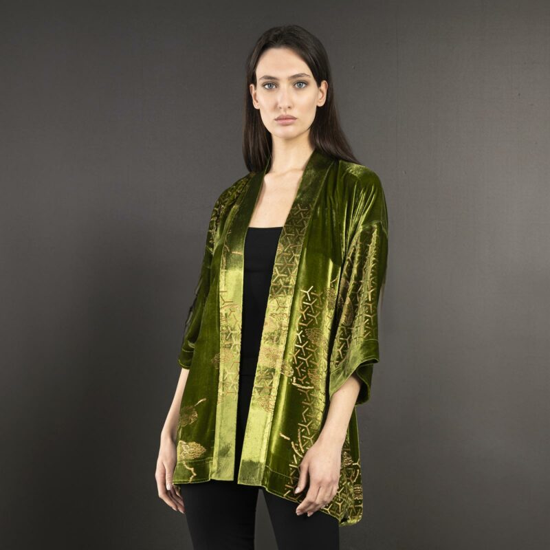 Fortuny Isabel | Printed velvet Kimono Coat