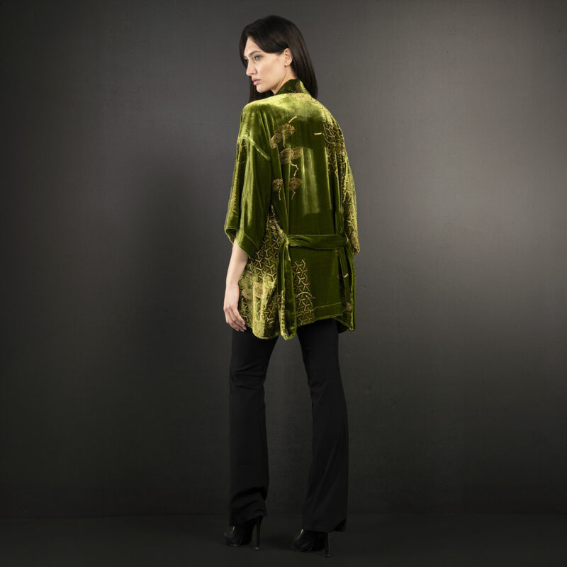 Fortuny Isabel | Printed velvet Kimono Coat