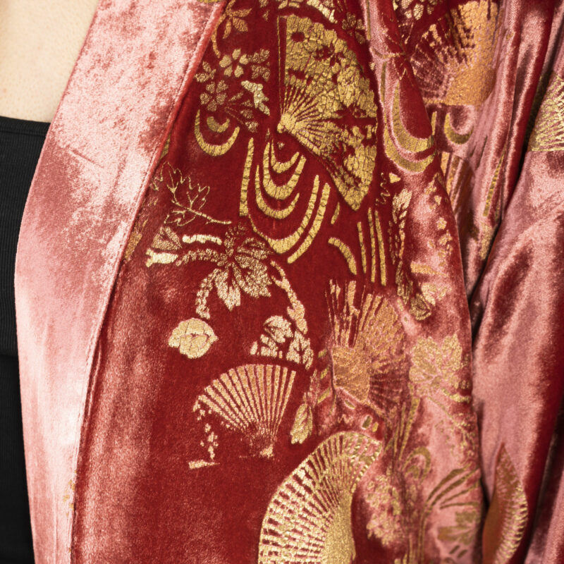 Fortuny Isabel | Printed velvet Kimono Coat