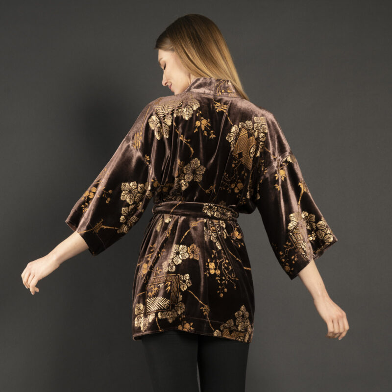 Fortuny Isabel | Printed velvet Kimono Coat