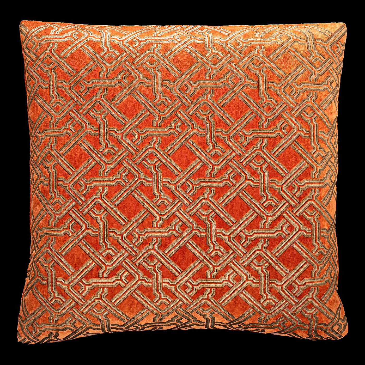 Printed hotsell velvet cushions